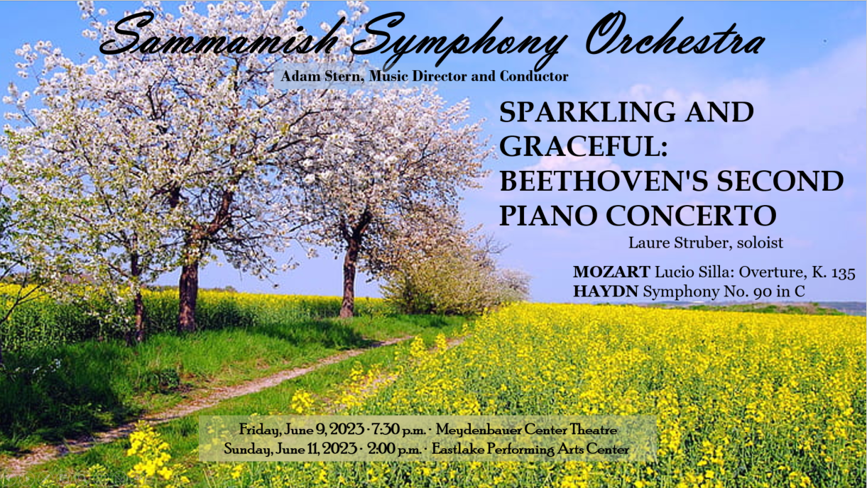 Concert poster - concert 5